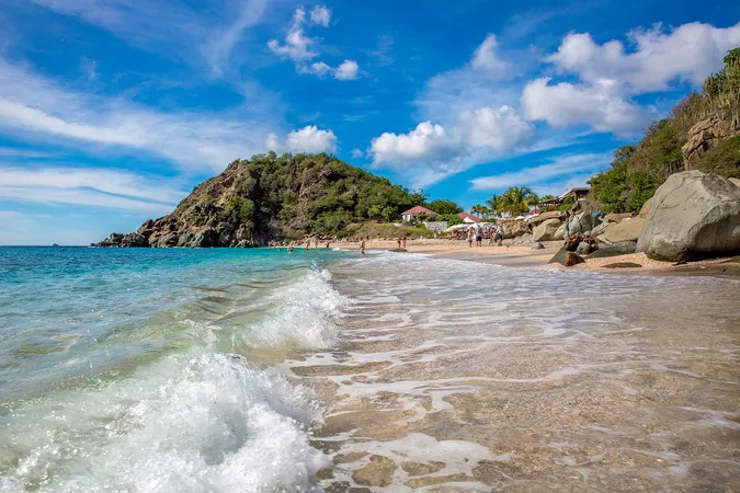 Shell Beach